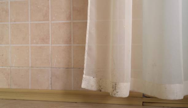 Best Air Quality Testing for Mold Spores  in Sky Lake, FL
