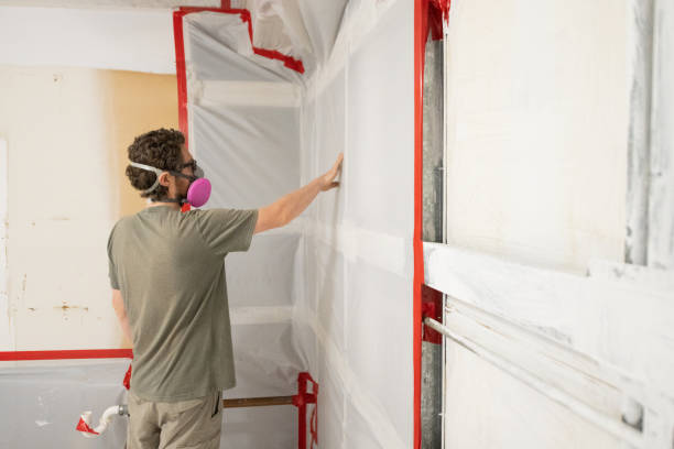 Environmental Consulting for Mold Prevention in Sky Lake, FL