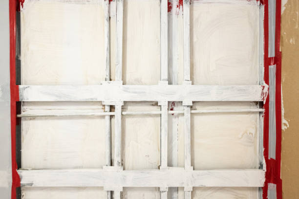 Asbestos and Lead Testing During Mold Inspection in Sky Lake, FL