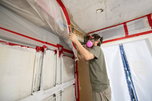 Best Black Mold Removal  in Sky Lake, FL