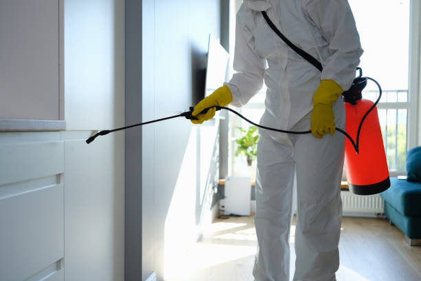 Best Mold Removal for HVAC Installations  in Sky Lake, FL