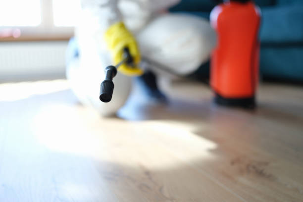 Best Crawl Space Mold Remediation  in Sky Lake, FL