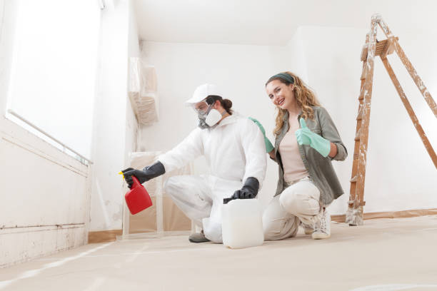 Best Dehumidification Services  in Sky Lake, FL